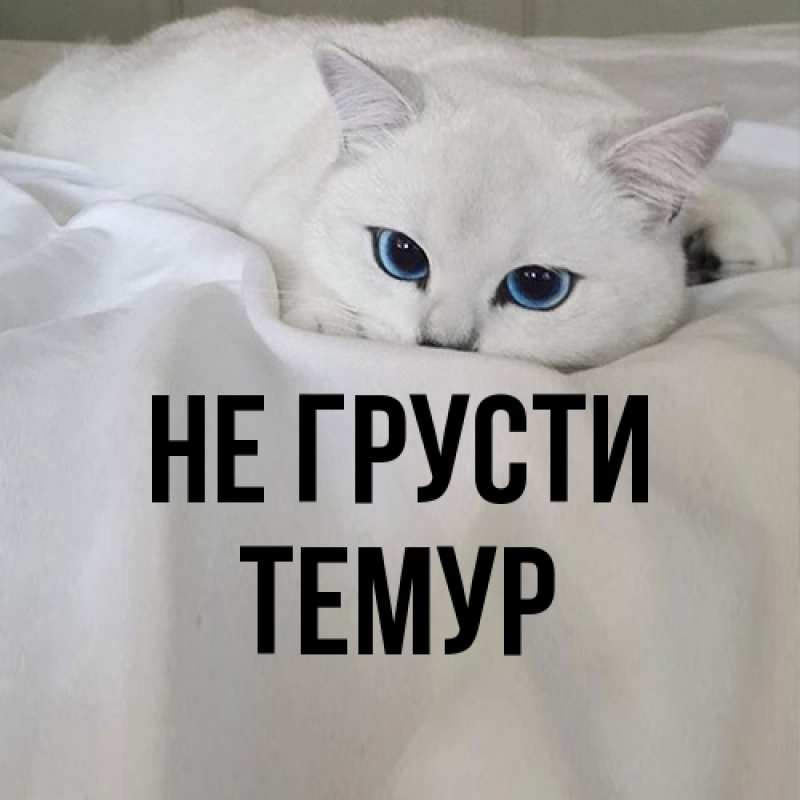 Картинка Не грусти, Темур