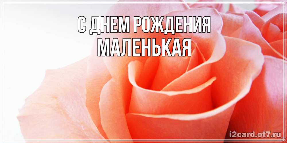 Открытка на каждый день с именем, Маленькая С днем рождения розы для поздравления с днем рождения Прикольная открытка с пожеланием онлайн скачать бесплатно 