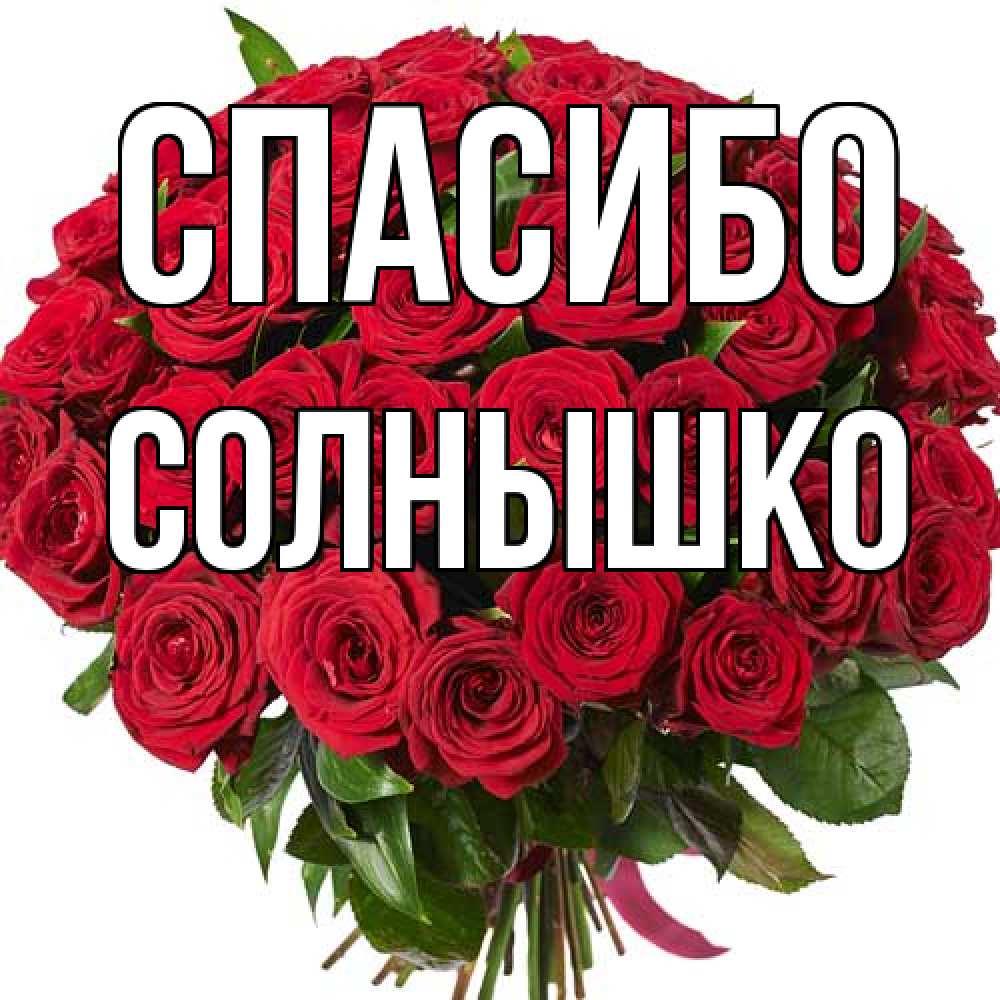 Открытка на каждый день с именем, Солнышко Спасибо букет красных роз Прикольная открытка с пожеланием онлайн скачать бесплатно 