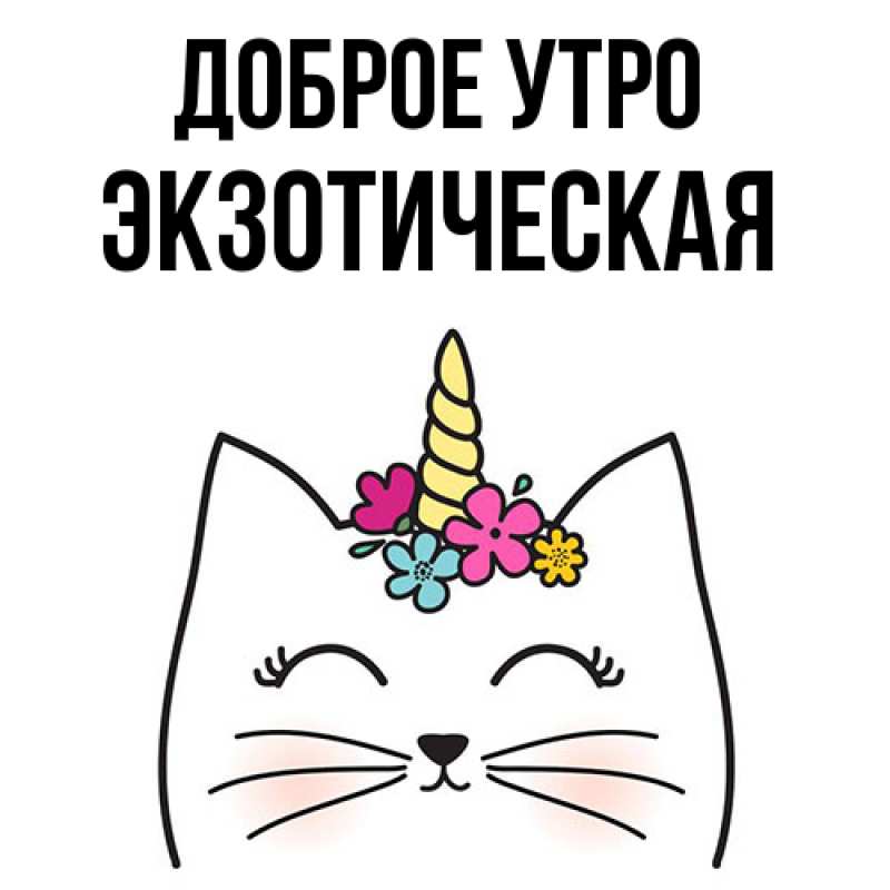 Картинка Доброе утро, Экзотическая