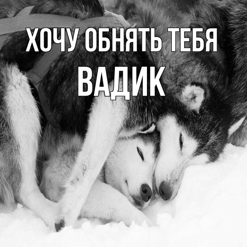 Картинка Хочу обнять тебя, Вадик