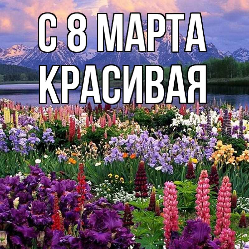 Картинка C 8 МАРТА, Красивая