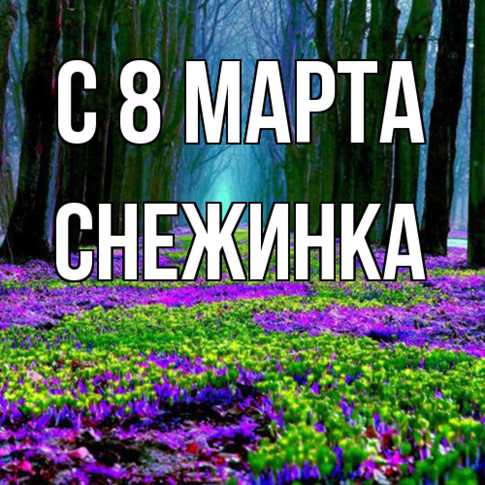 Открытка на каждый день с именем, Снежинка C 8 МАРТА фиолетовые цветы в лесу 1 Прикольная открытка с пожеланием онлайн скачать бесплатно 