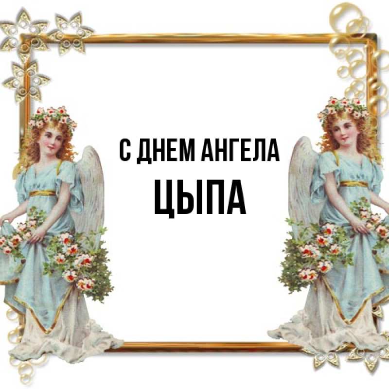 Картинка С днем ангела, Цыпа