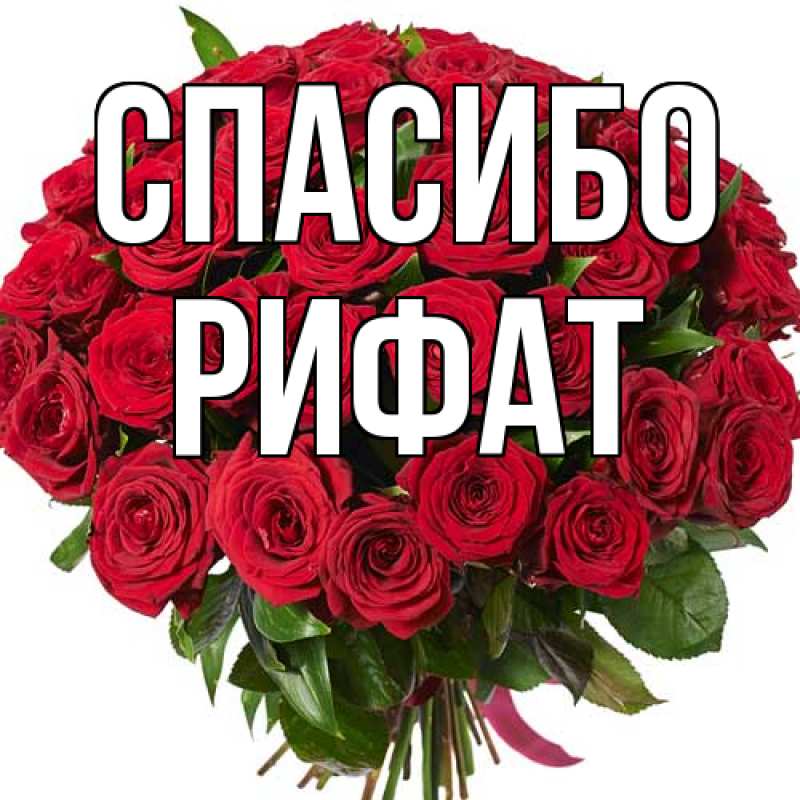 Картинка Спасибо, Рифат
