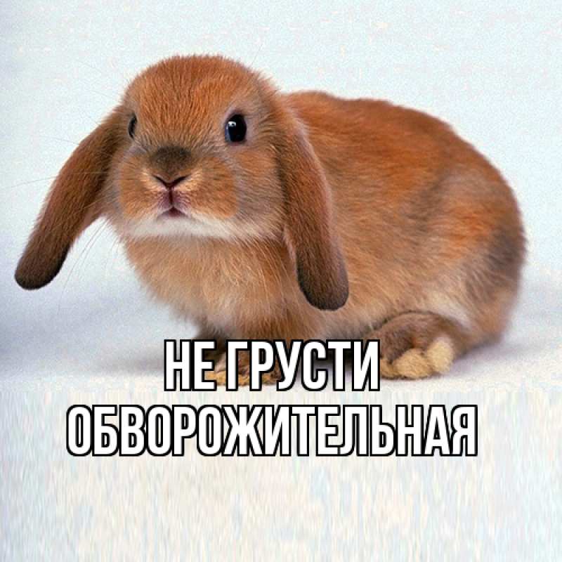 Картинка Не грусти, обворожительная