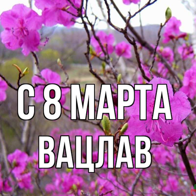 Картинка C 8 МАРТА, Вацлав