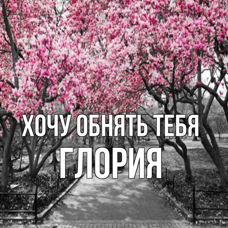 Картинка Хочу обнять тебя, Глория