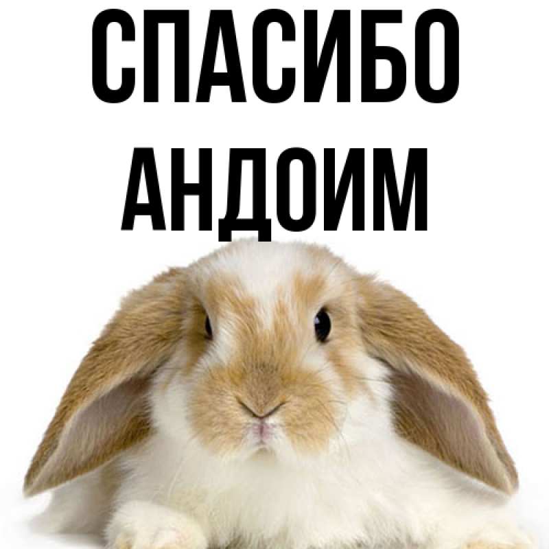 Картинка Спасибо, Андоим