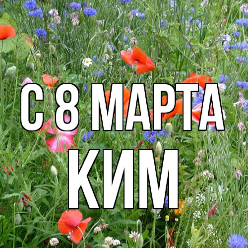 Картинка C 8 МАРТА, Ким