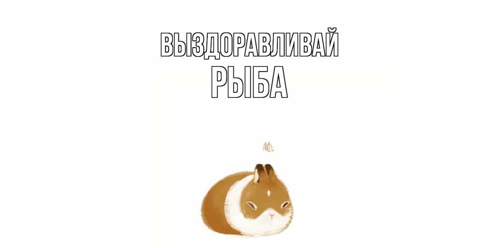 Открытка на каждый день с именем, Рыба Выздоравливай морская свинка на открытке с пожеланиями не болеть Прикольная открытка с пожеланием онлайн скачать бесплатно 