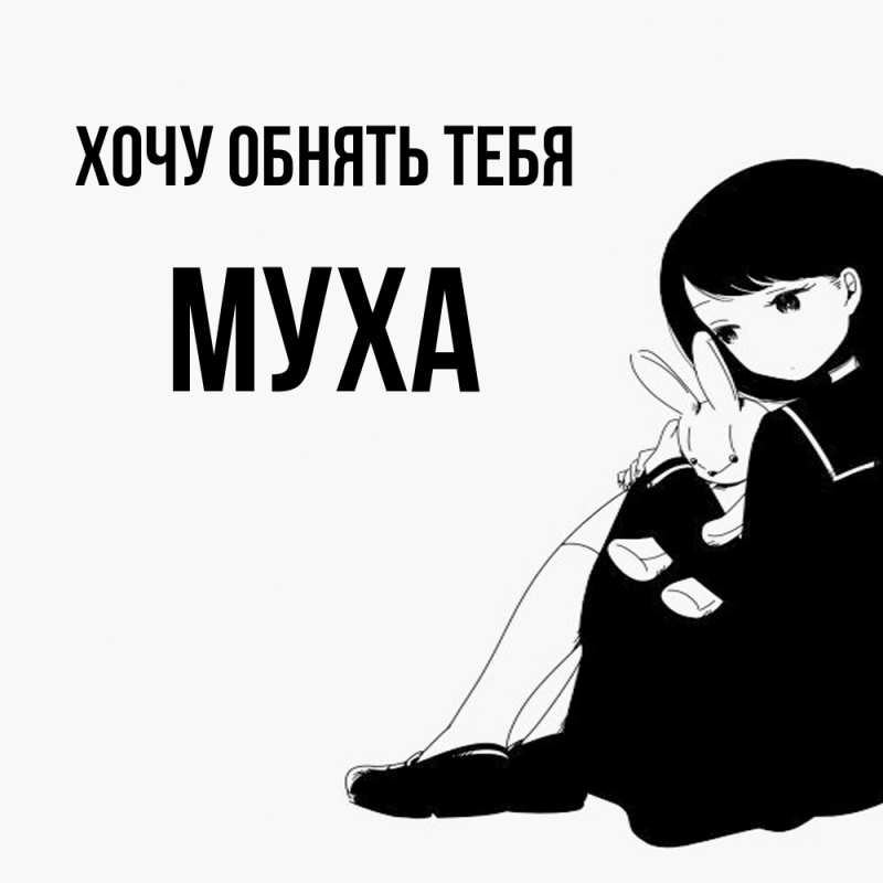 Картинка Хочу обнять тебя, Муха