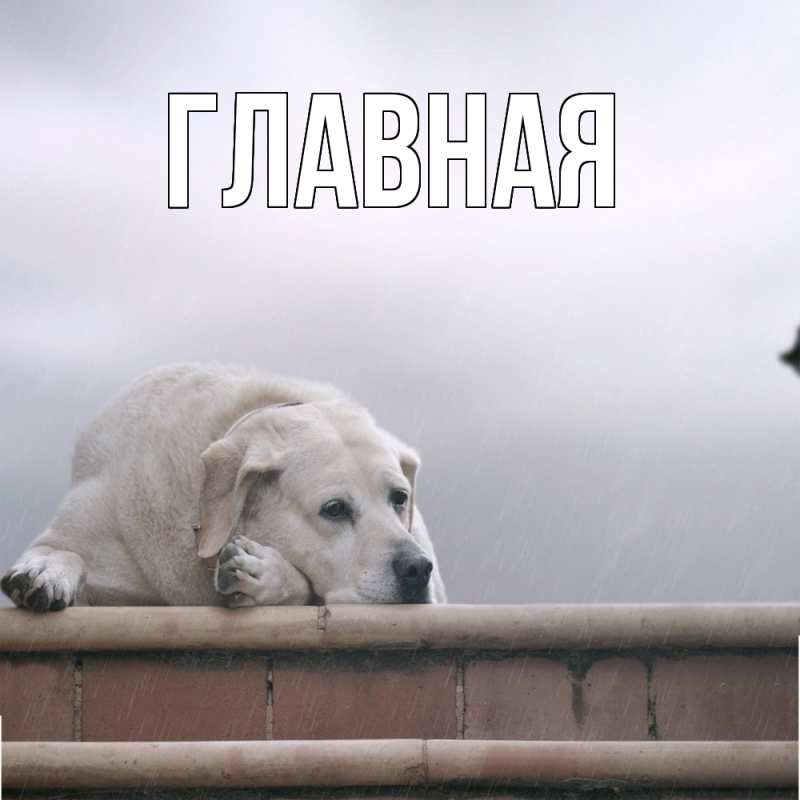 Картинка  с именем , Марьяна