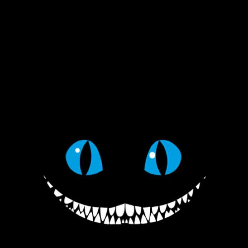 Картинка Спасибо, Вацлав