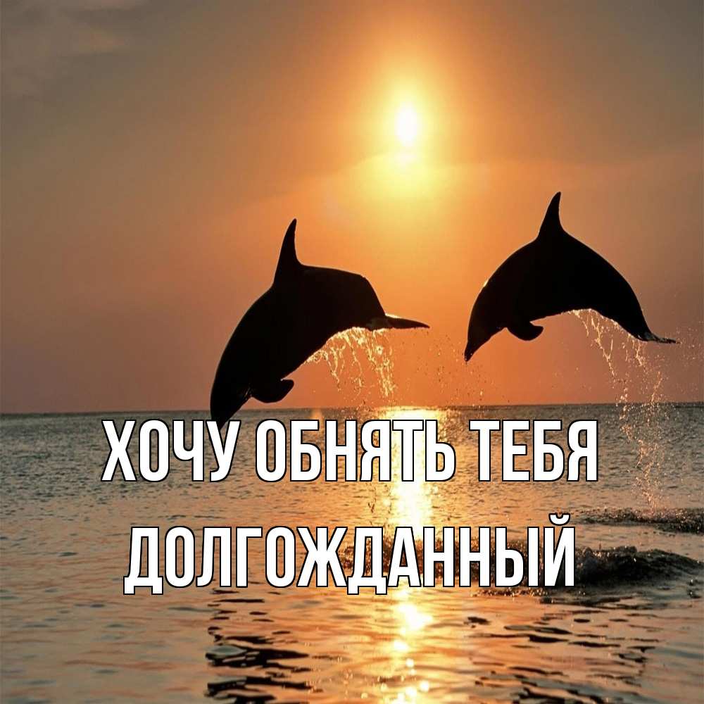 Открытка на каждый день с именем, Долгожданный Хочу обнять тебя рыбы на закате Прикольная открытка с пожеланием онлайн скачать бесплатно 