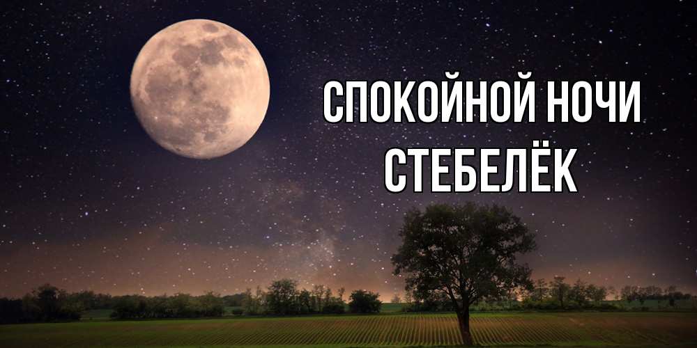 Открытка на каждый день с именем, Стебелёк Спокойной ночи ночные открытки с луной Прикольная открытка с пожеланием онлайн скачать бесплатно 