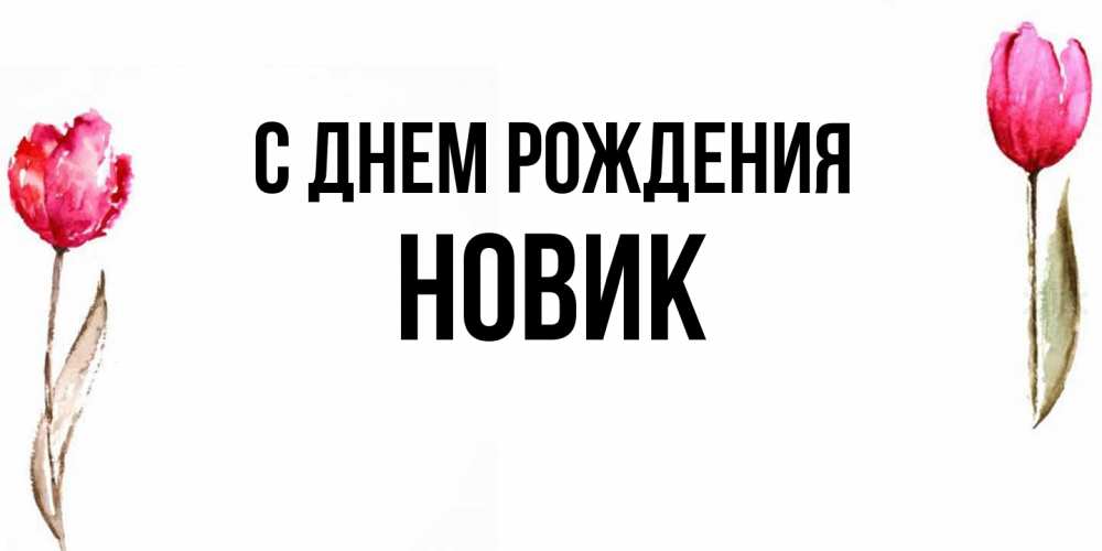 Открытка на каждый день с именем, новик С днем рождения открытки акварелью с цветами Прикольная открытка с пожеланием онлайн скачать бесплатно 