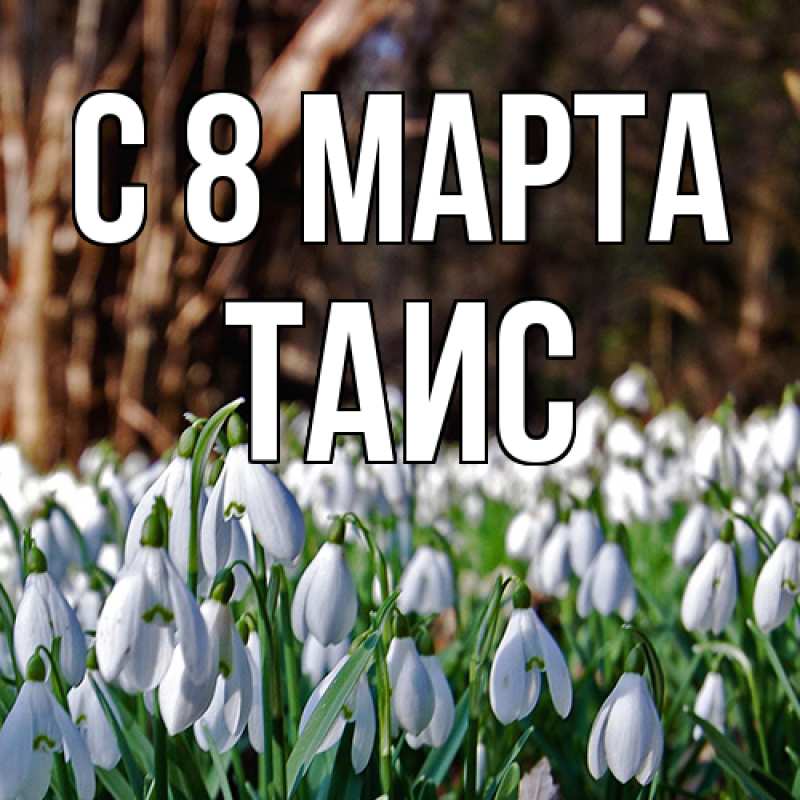 Картинка C 8 МАРТА, Таис