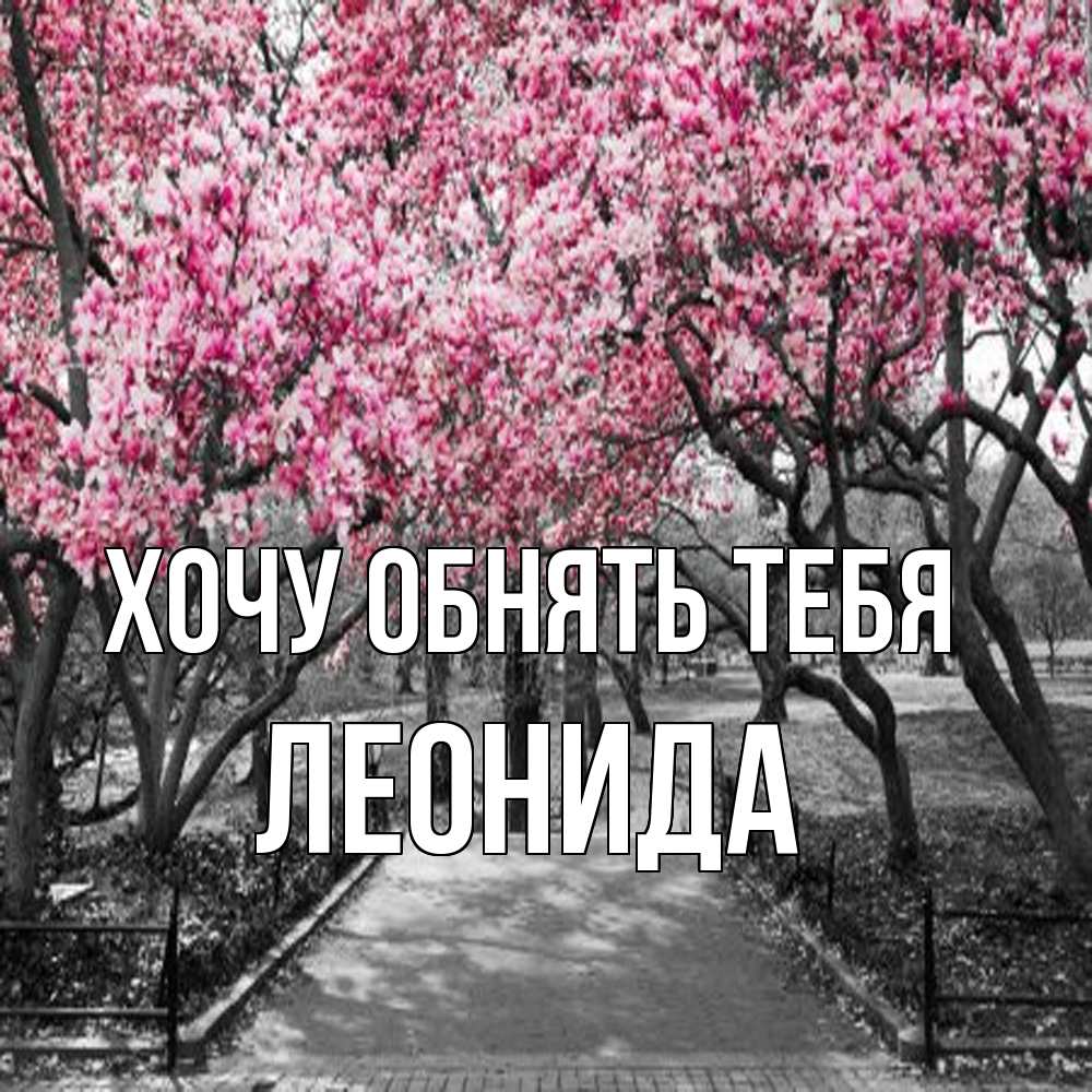 Открытка на каждый день с именем, Леонида Хочу обнять тебя обработанное фото Прикольная открытка с пожеланием онлайн скачать бесплатно 