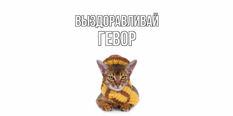 Картинка Выздоравливай, Гевор