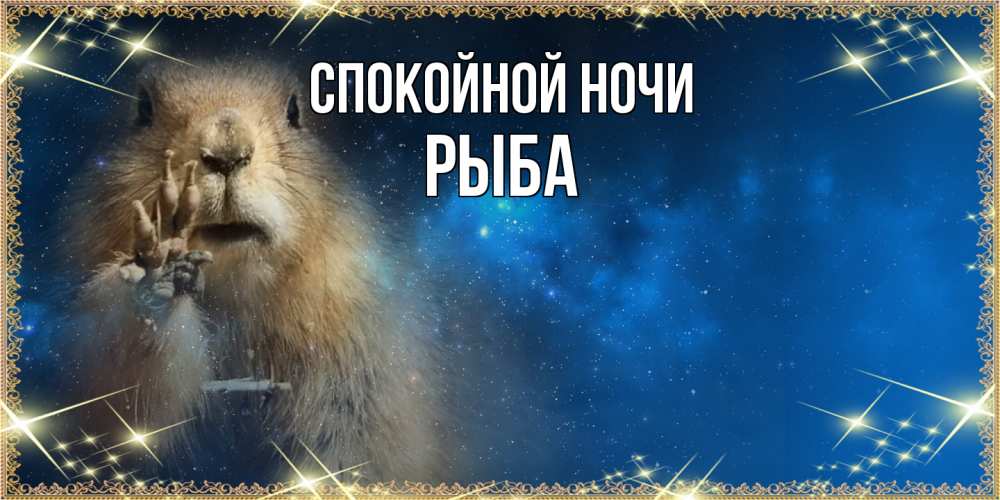 Открытка на каждый день с именем, Рыба Спокойной ночи спокойной ночи сладких снов Прикольная открытка с пожеланием онлайн скачать бесплатно 