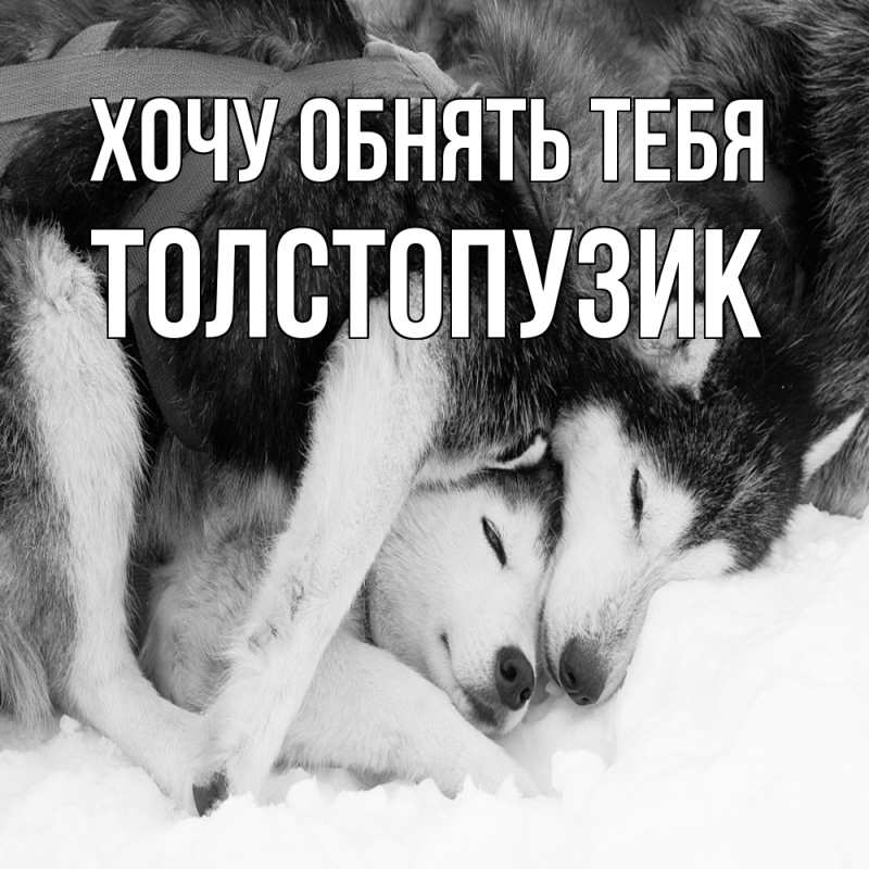 Картинка Хочу обнять тебя, Толстопузик