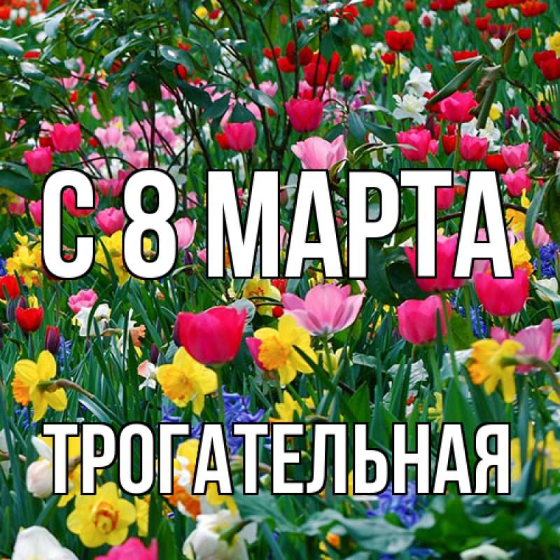 Картинка C 8 МАРТА, Тpогательная