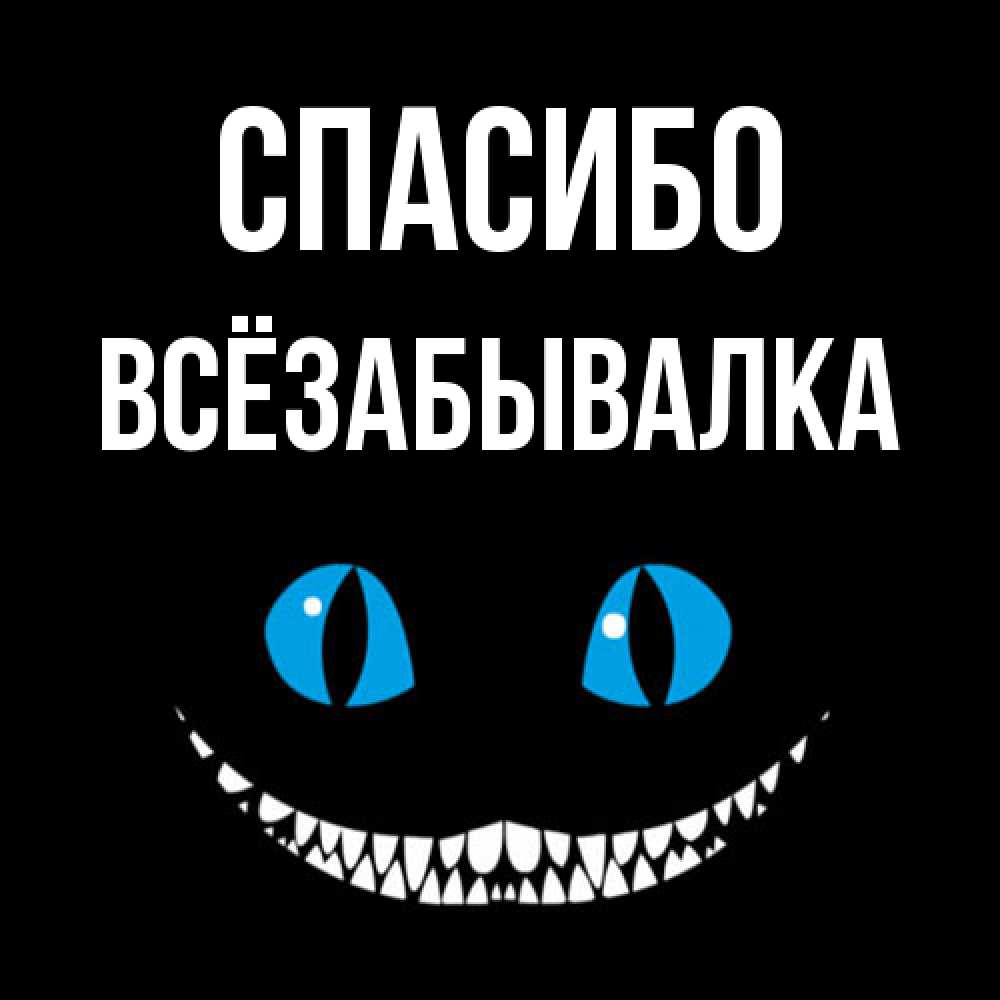 Открытка на каждый день с именем, Всёзабывалка Спасибо благодарю от чеширика Прикольная открытка с пожеланием онлайн скачать бесплатно 