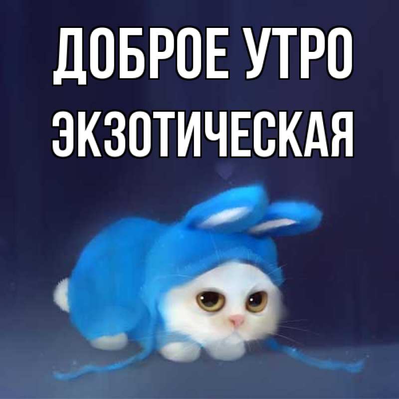 Картинка Доброе утро, Экзотическая