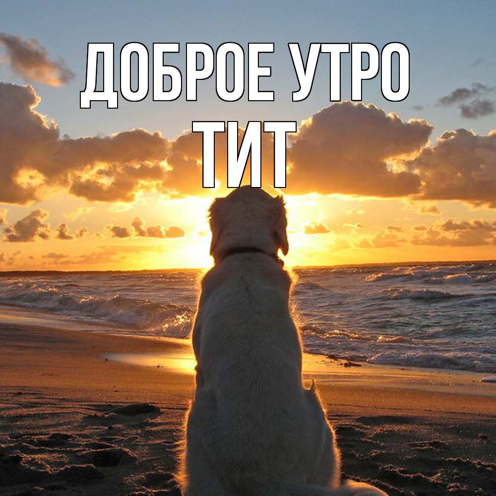 Открытка на каждый день с именем, Тит Доброе утро восход солнца Прикольная открытка с пожеланием онлайн скачать бесплатно 