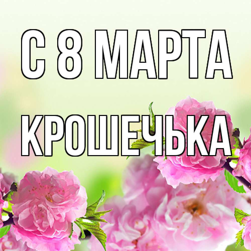 Открытка на каждый день с именем, Крошечька C 8 МАРТА цветы Прикольная открытка с пожеланием онлайн скачать бесплатно 
