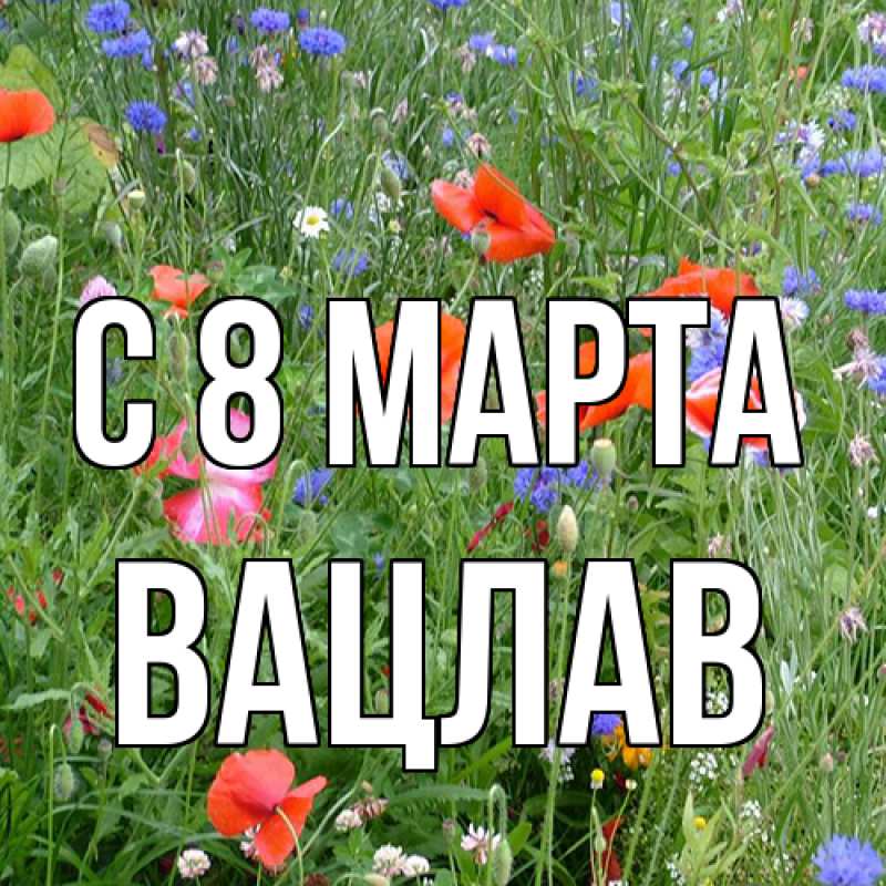 Картинка C 8 МАРТА, Вацлав