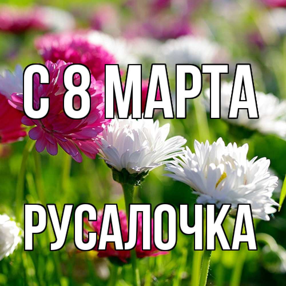 Открытка на каждый день с именем, Русалочка C 8 МАРТА международный женский день 1 Прикольная открытка с пожеланием онлайн скачать бесплатно 