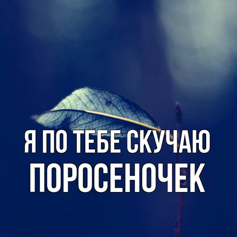 Картинка Я по тебе скучаю, поросеночек