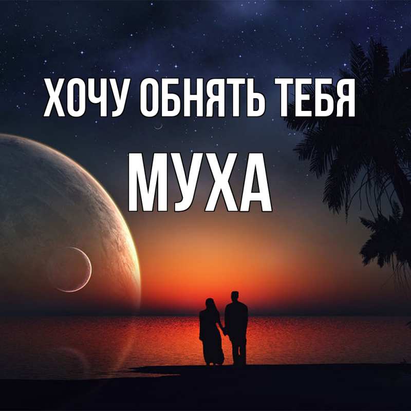 Картинка Хочу обнять тебя, Муха