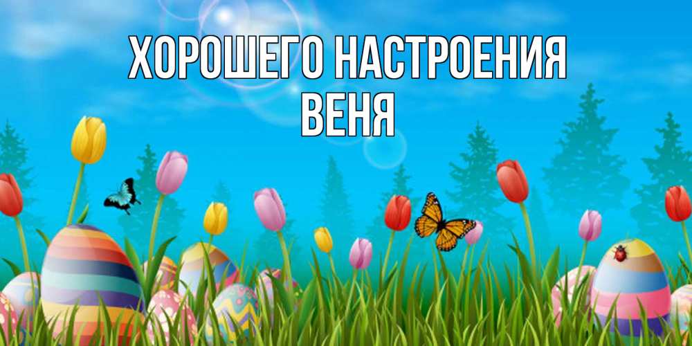 Открытка на каждый день с именем, Веня Хорошего настроения небо и тюльпаны с бабочкой Прикольная открытка с пожеланием онлайн скачать бесплатно 