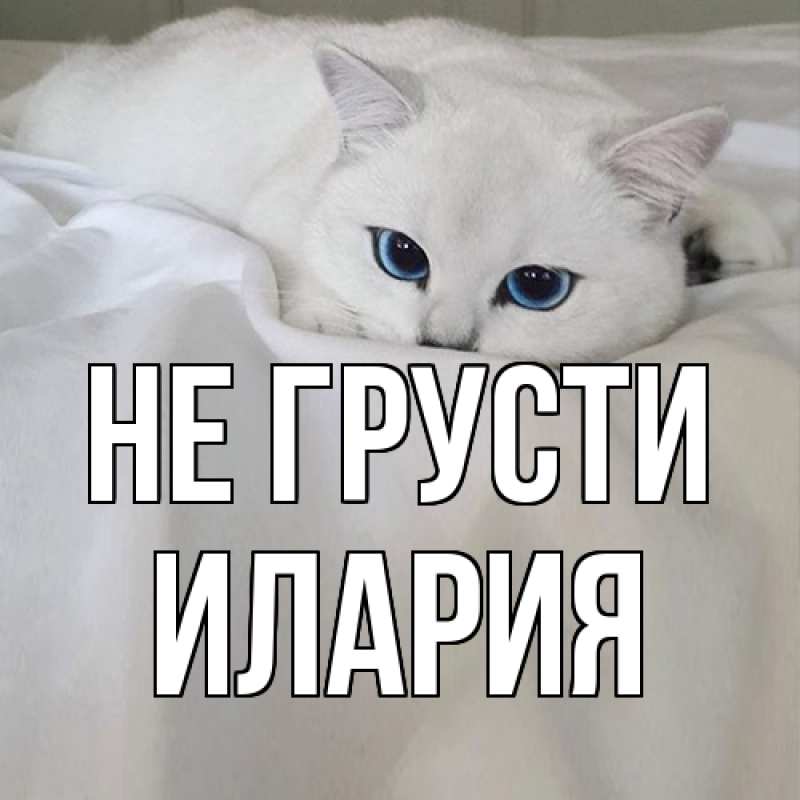 Картинка Не грусти, Илария