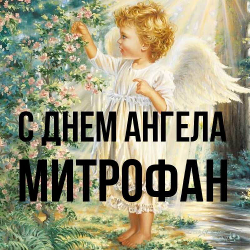 Картинка С днем ангела, Митрофан