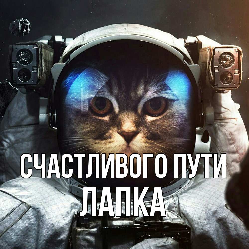 Открытка на каждый день с именем, лапка Счастливого пути желает удачно добраться Прикольная открытка с пожеланием онлайн скачать бесплатно 