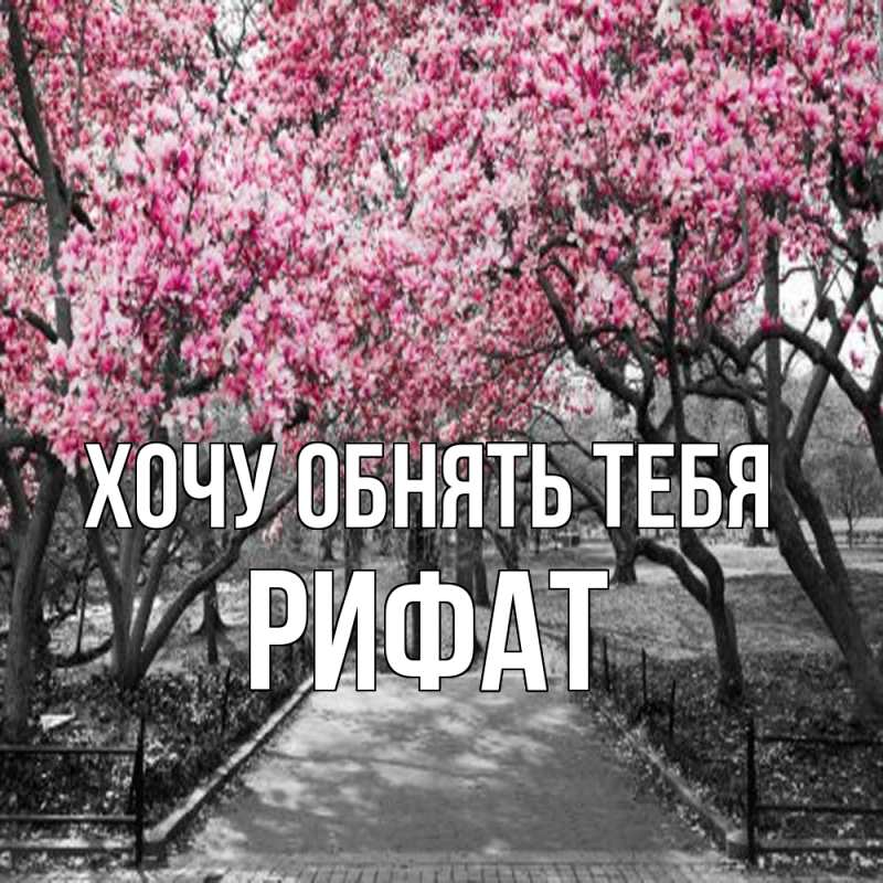 Картинка Хочу обнять тебя, Рифат