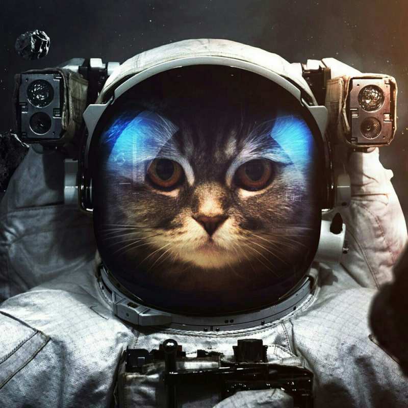 Открытка с именем, Цезарь, Счастливого пути