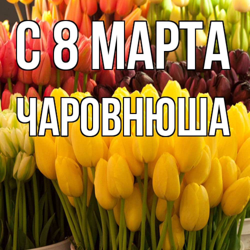 Открытка на каждый день с именем, Чаpовнюша C 8 МАРТА цветы Прикольная открытка с пожеланием онлайн скачать бесплатно 