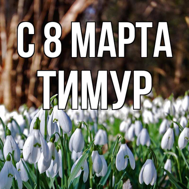Картинка C 8 МАРТА, Тимур