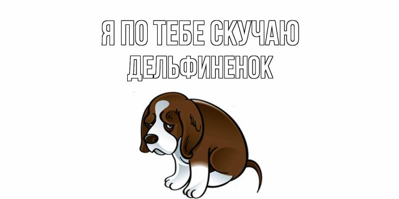 Картинка Я по тебе скучаю, дельфиненок