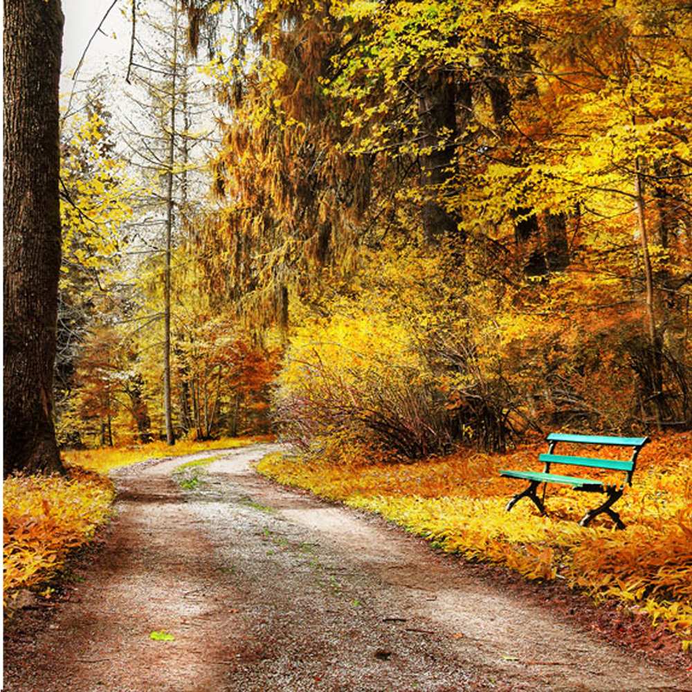 Открытка на каждый день с именем, забавная Не грусти зеленая лавочка Прикольная открытка с пожеланием онлайн скачать бесплатно 