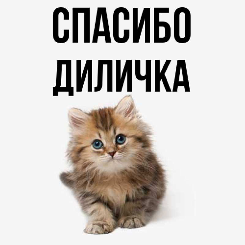 Картинка Спасибо, Диличка