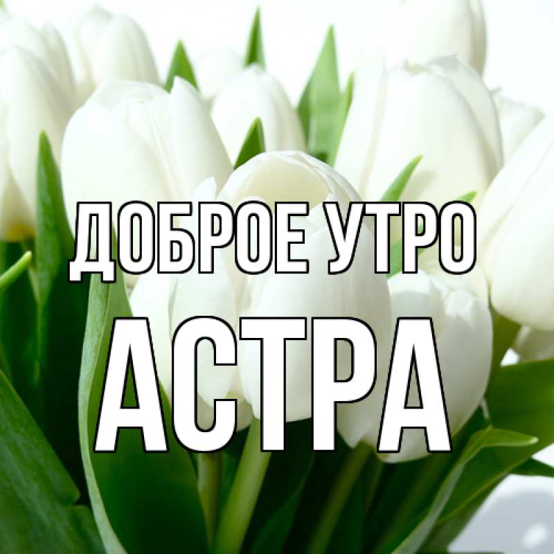 Картинка Доброе утро, Астра