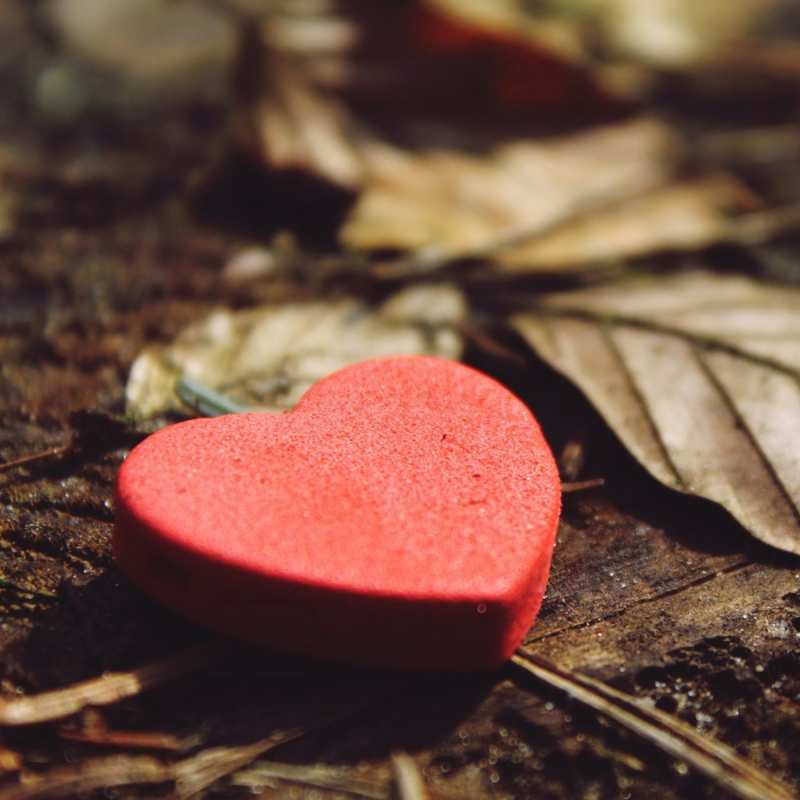 Картинка Я тебя люблю, Архип