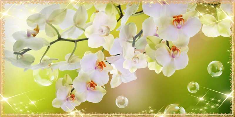 Картинка C 8 МАРТА, Леокадия