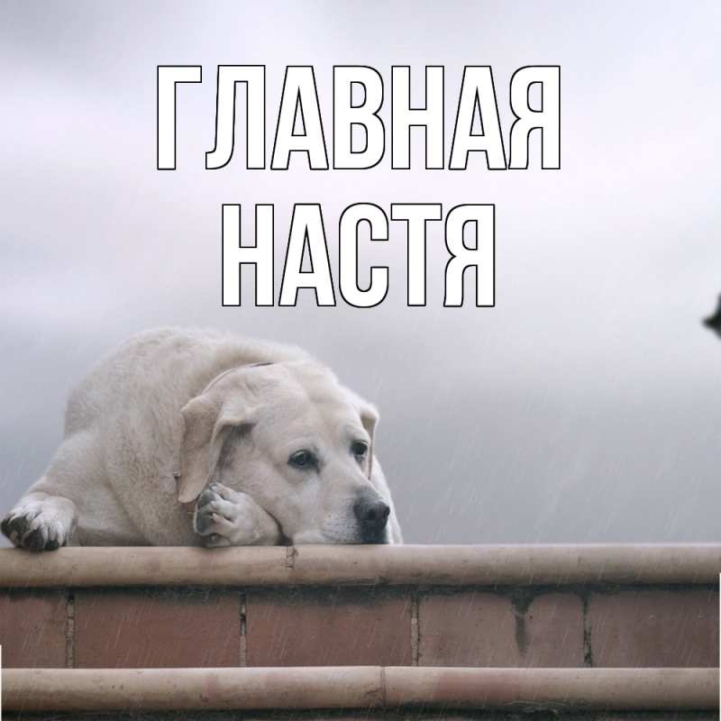 Картинка  с именем , настя